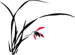 矢量 兰花
