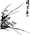 矢量 兰花