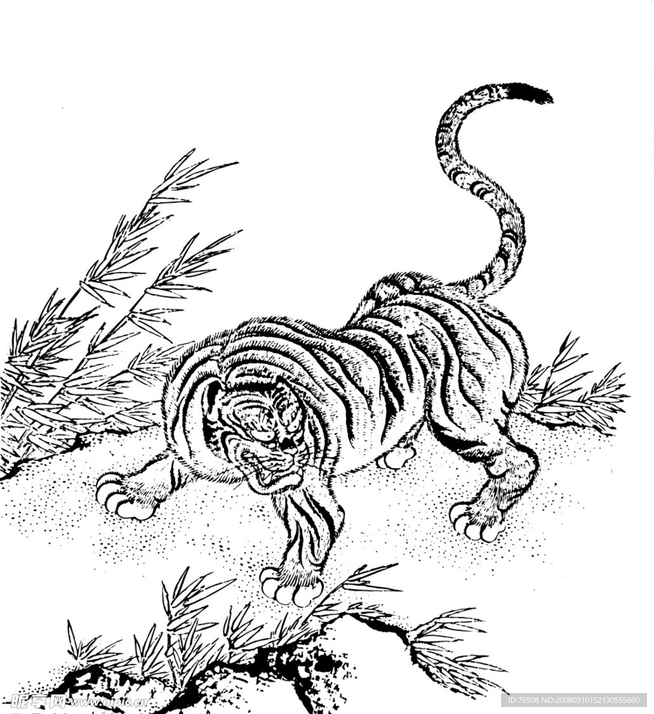 猛虎