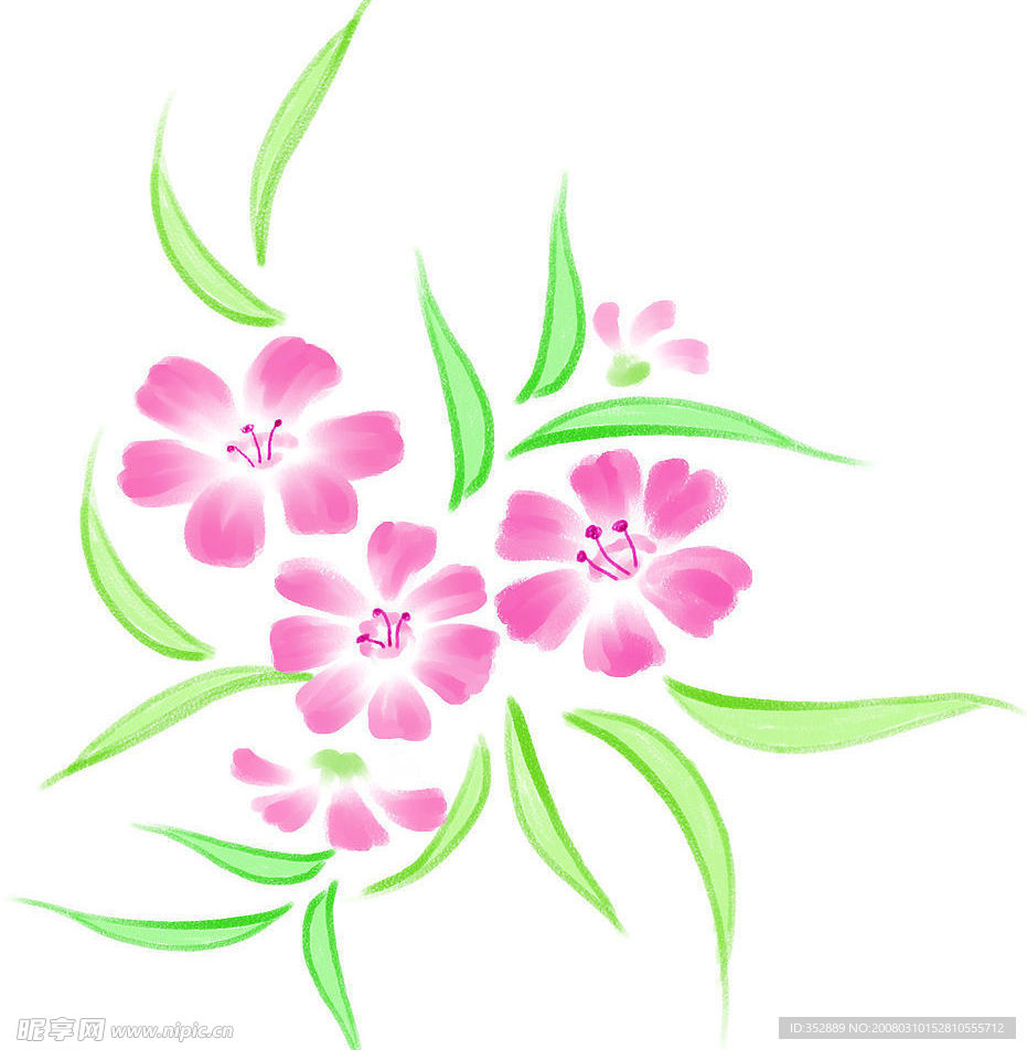 手绘小花