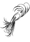 精品矢量花纹