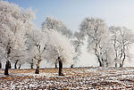 雪景