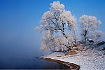 湖边雪景