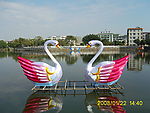 2008各种文化活动彩灯/花灯