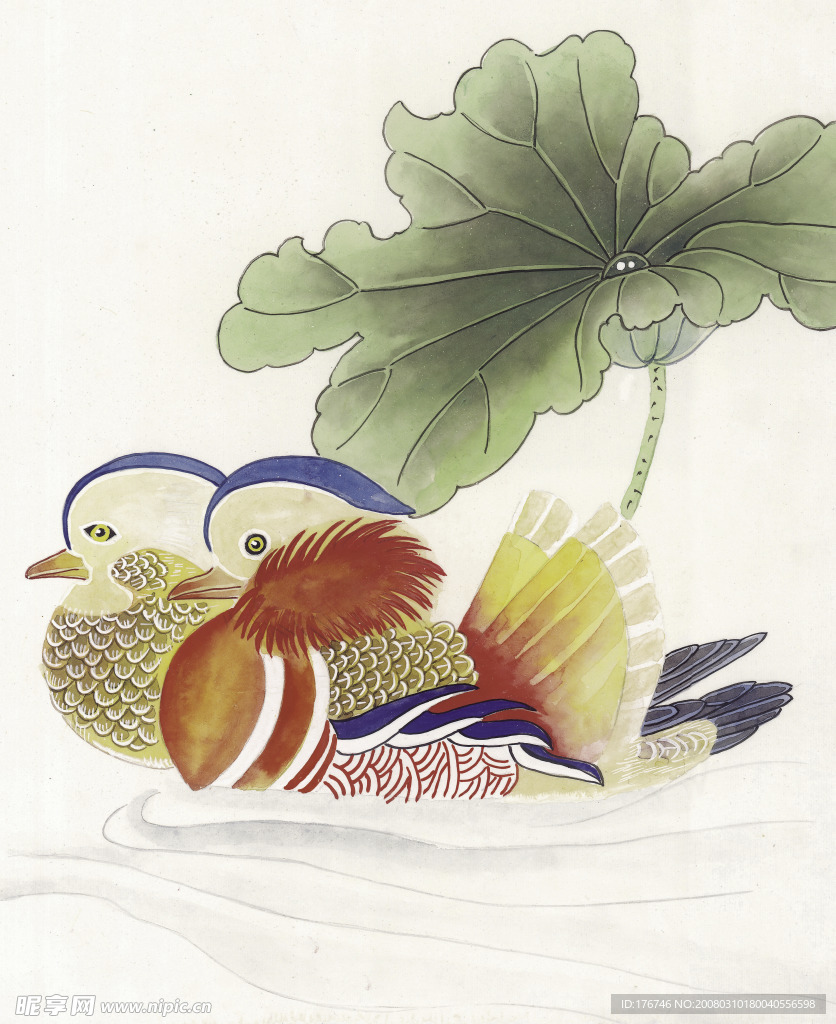 鸳鸯