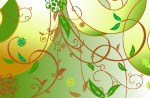 精美矢量花纹