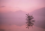 漂亮的山水剪影