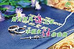 计划生育宣传画