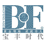 宝丰时代