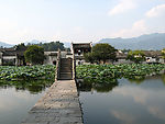 田园