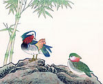 鸳鸯