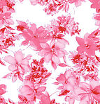 粉红花儿透明背景图
