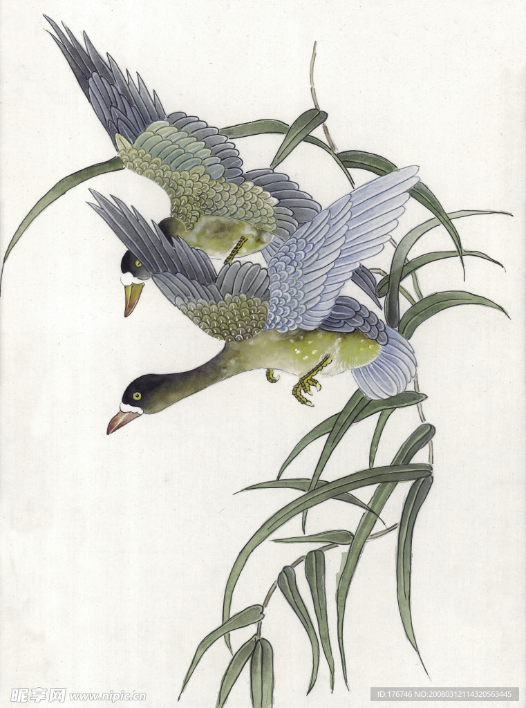 国画