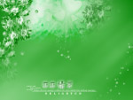 星月5