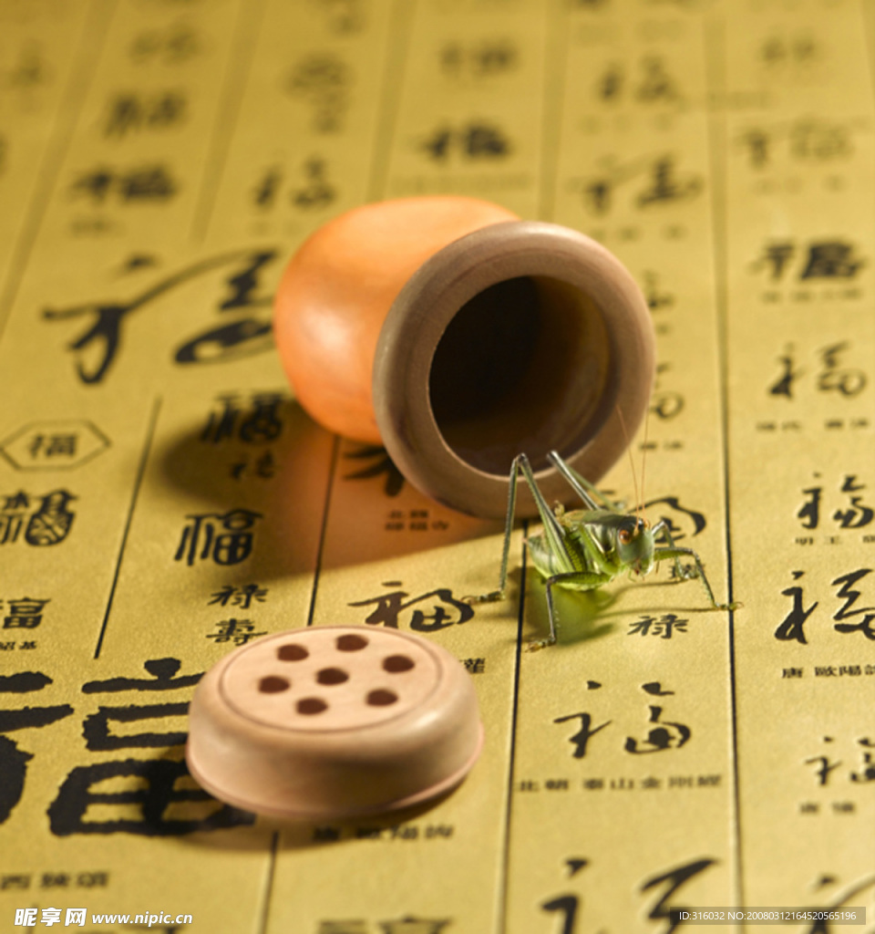 蝈蝈