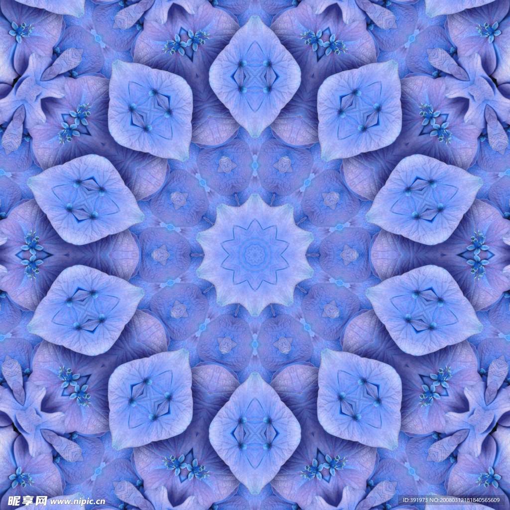 精美花纹