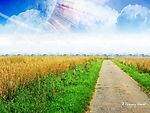 梦幻风景