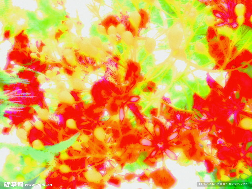 花之选