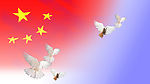 国旗　和平鸽