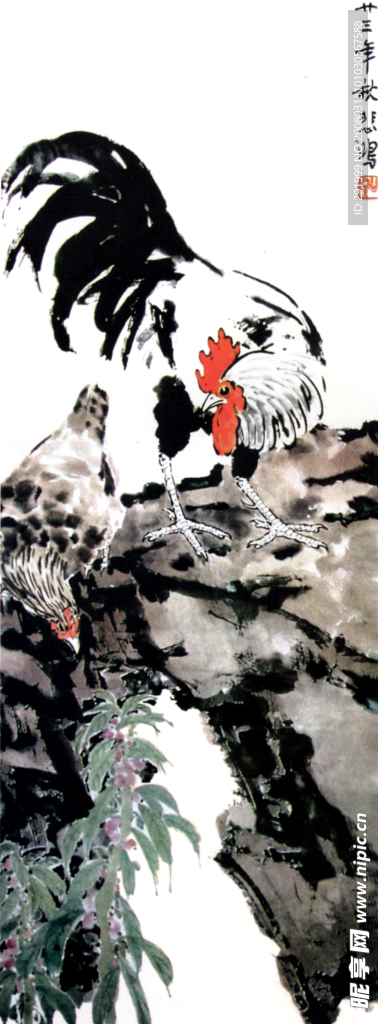 鸡风仙