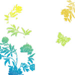 花纹