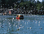 珠海城市风景，珠海公园