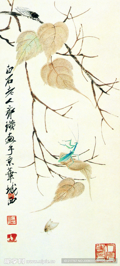 齐白石画