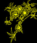 精典工笔白描花草图1