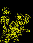 精典工笔白描花草图5
