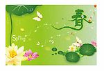 春之精美花纹
