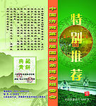 茶叶折页