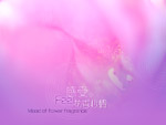 婚纱模版-6