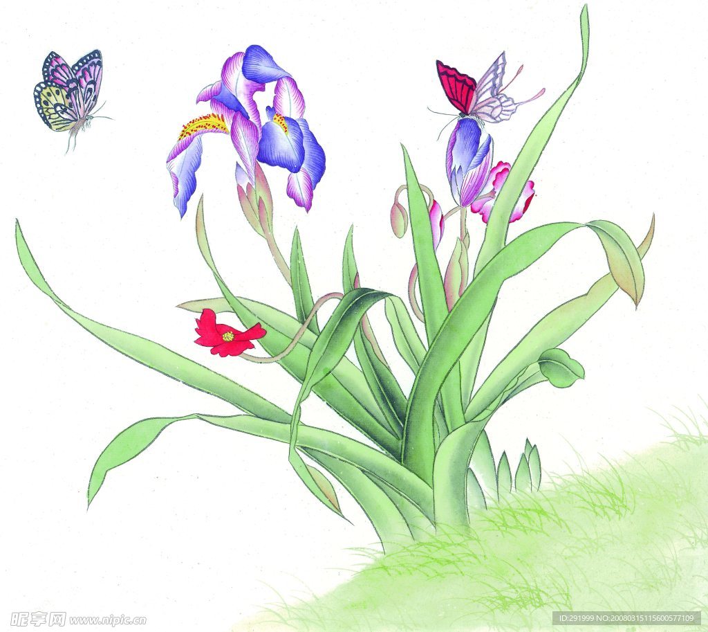 花蝴蝶
