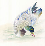 国画