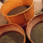 茶叶