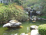 池塘