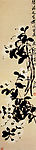 白山茶