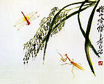 稻穗昆虫