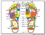 人体足部反射区AI高清矢量图