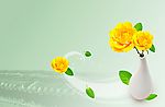 鲜花