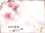 PSD摄影模板