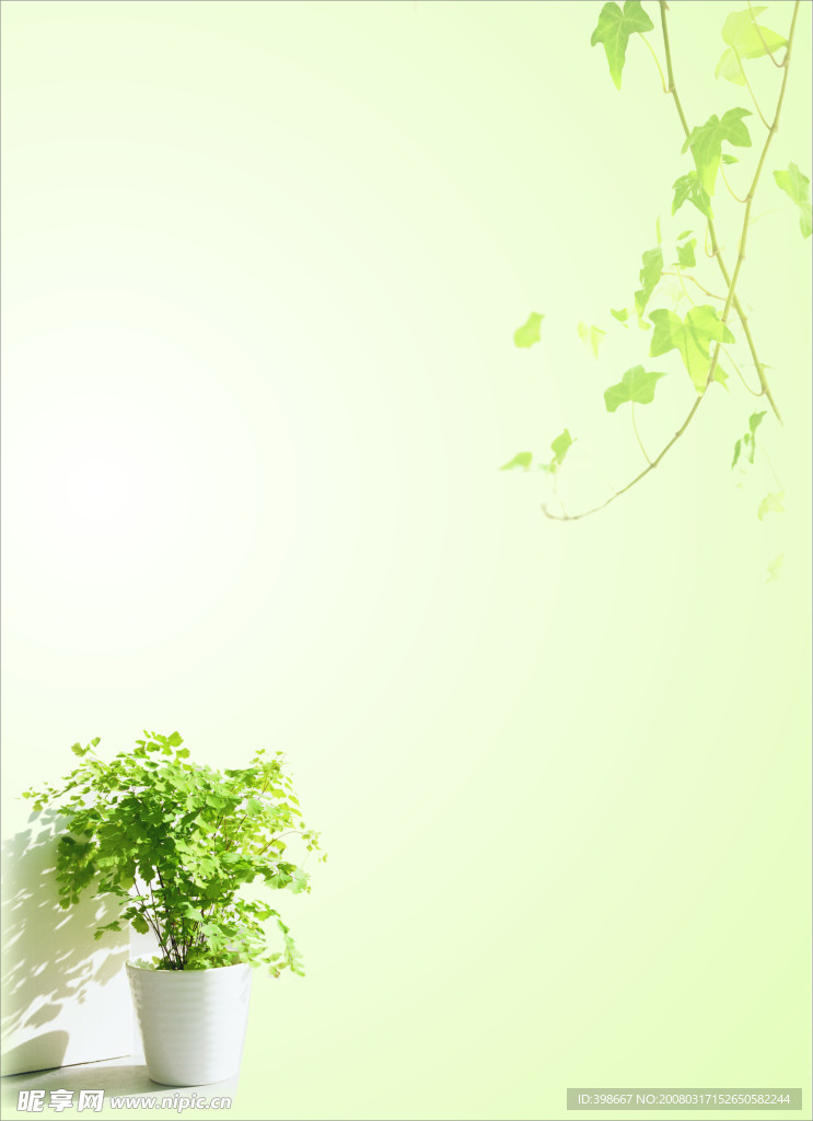 家居植物