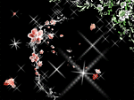 星夜飘花