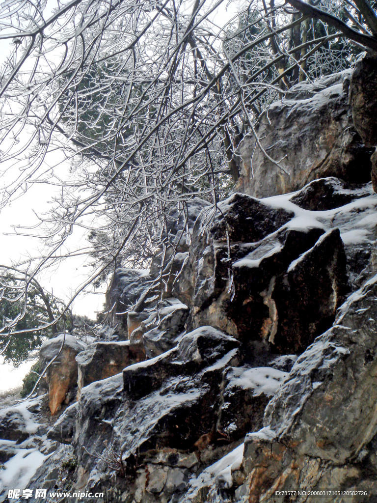 雪景