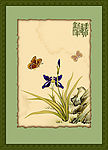 兰花