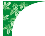 花边