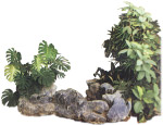 假山