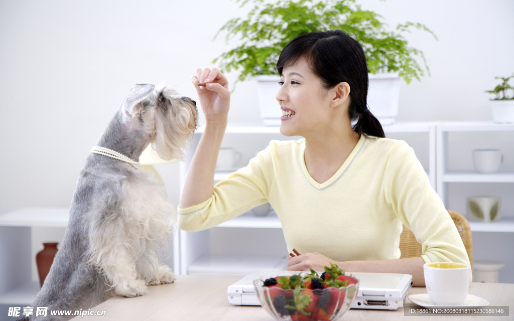 狗和女主人的亲蜜生活