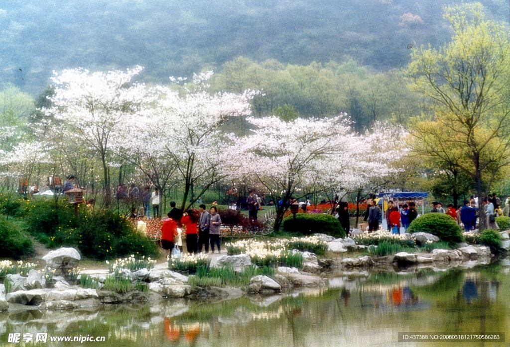 农村花园