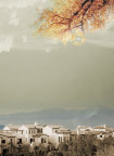 风景